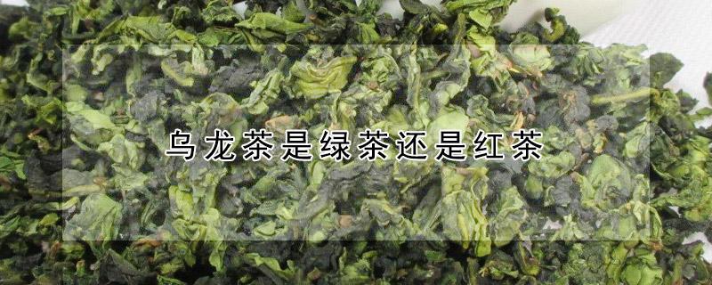 乌龙茶是绿茶还是红茶 乌龙茶是绿茶还是红茶系列