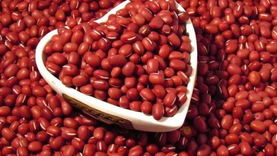 相思豆是什么 相思豆是什么材质