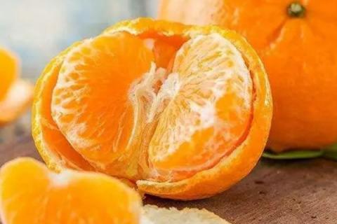 蜜柑和橘子有什么区别