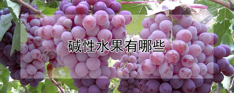 碱性水果有哪些 碱性水果有哪些前10名