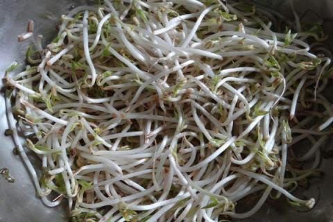 发的绿豆芽为什么豆瓣发红