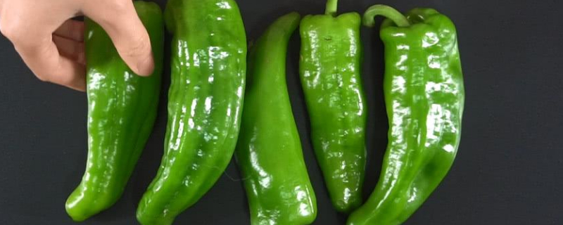 青椒和红椒的区别 青椒和红椒的区别图片