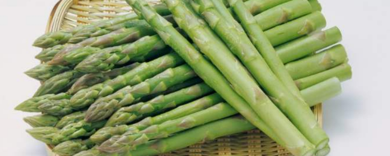 如何自己种芦笋（家庭种植芦笋的详细方法,请收藏）