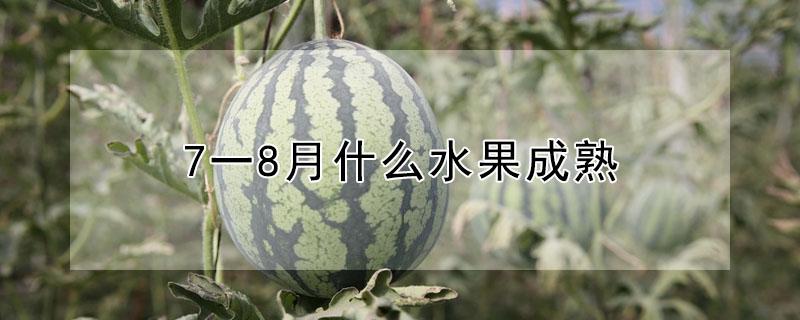 7一8月什么水果成熟 7 8月份的水果