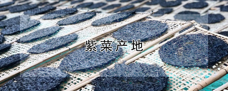 紫菜产地（紫菜产地排行榜前十名）