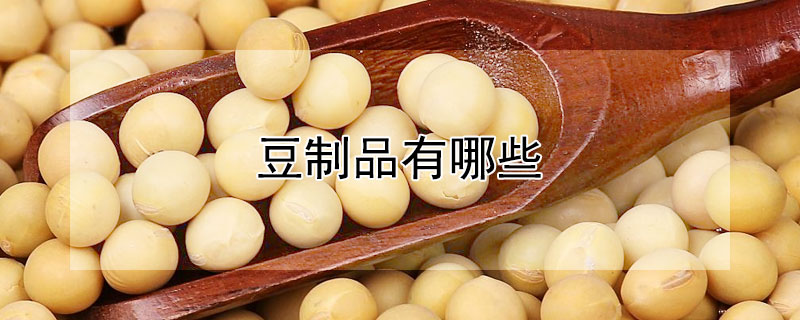 豆制品有哪些（豆制品有哪些食物图片）