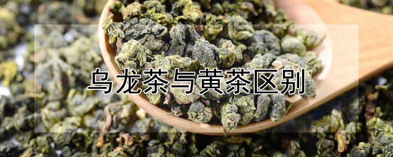 乌龙茶与黄茶区别（乌龙茶与黄茶区别是什么）