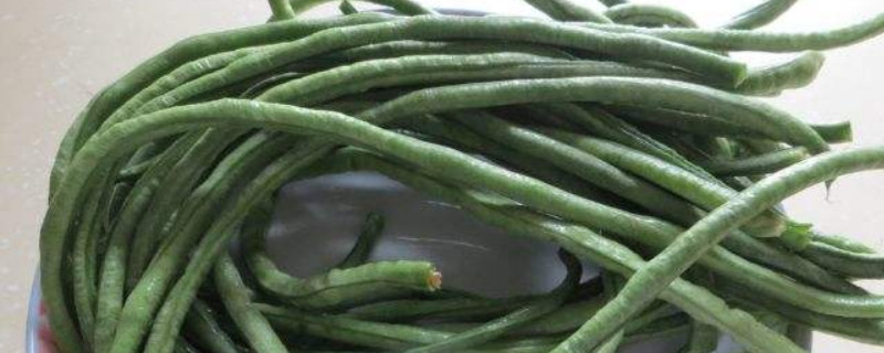 南方豇豆的种植时间和方法 南方豇豆的种植时间和方法是什么