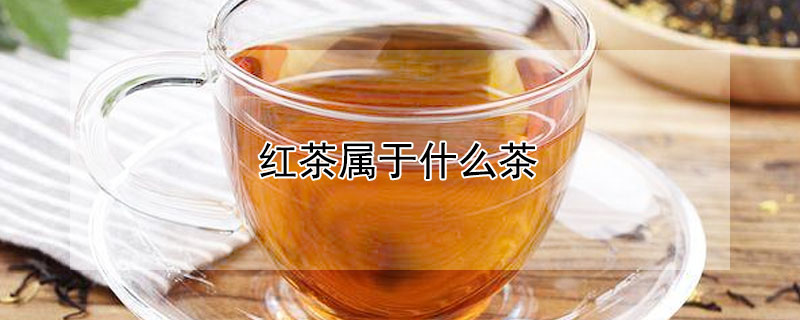 红茶属于什么茶（狗牯脑红茶属于什么茶）