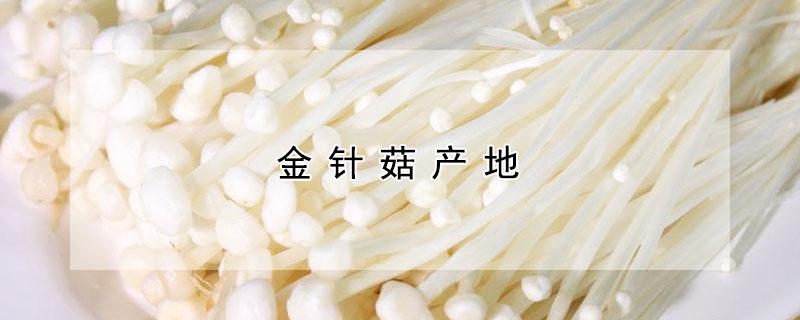 金针菇产地 金针菇产地哪里最出名