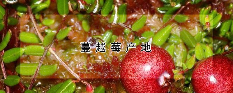 蔓越莓产地 蔓越莓产地在中国哪里