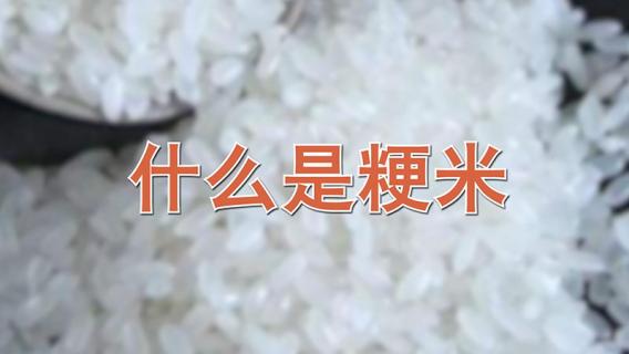 粳米是什么 粳米是什么样子的图片