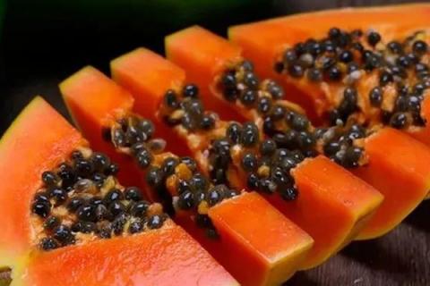 番木瓜和木瓜的区别