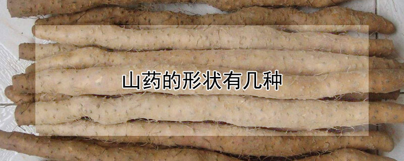 山药的形状有几种 山药的形状有几种图片
