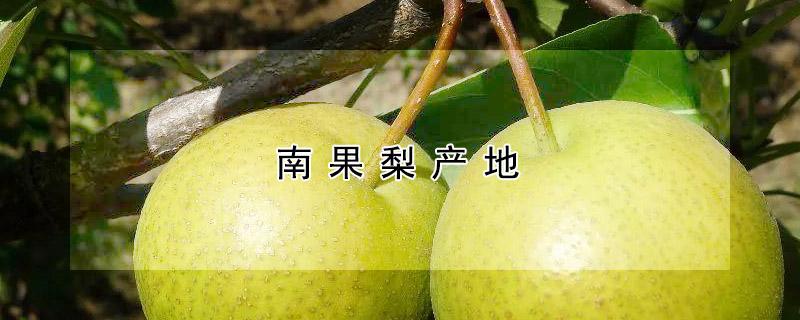 南果梨产地（南果梨产地在什么地方）