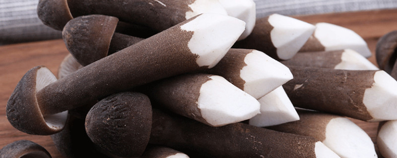 鸡枞菌怎么种植 鸡枞菌怎么种植技术视频