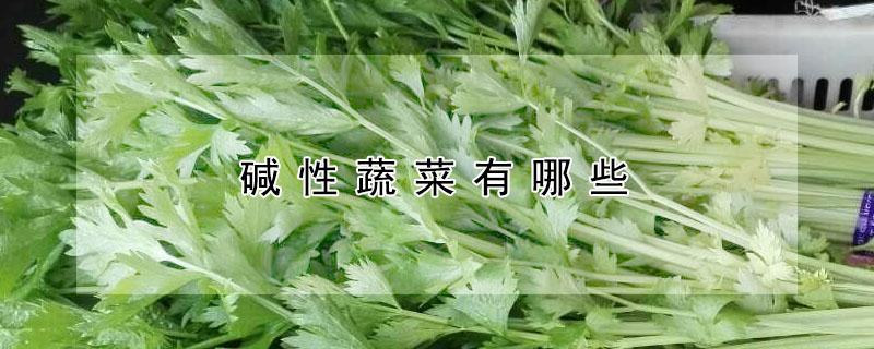 碱性蔬菜有哪些（碱性蔬菜有哪些前10名）