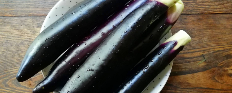 青茄子和紫茄子的区别（青茄子和紫茄子哪个营养价值高）