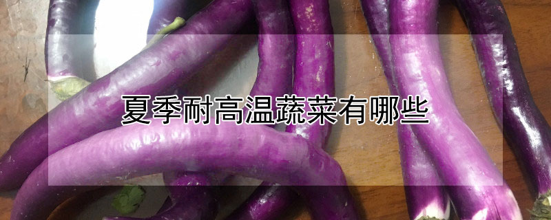 夏季耐高温蔬菜有哪些 什么蔬菜耐高温