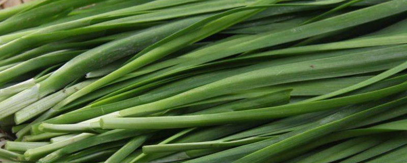 一次种植年年可采摘的蔬菜（一次种植年年可采摘的蔬菜和水果）