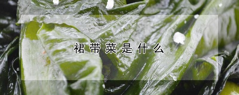 裙带菜是什么 裙带菜是什么口感