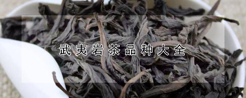 武夷岩茶品种大全 武夷岩茶品种大全的书籍