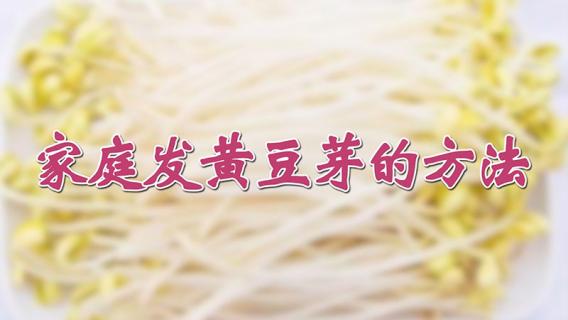 家庭发黄豆芽的方法（如何在家发黄豆芽）