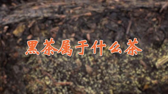 黑茶属于什么茶（黑茶属于红茶还是绿茶）