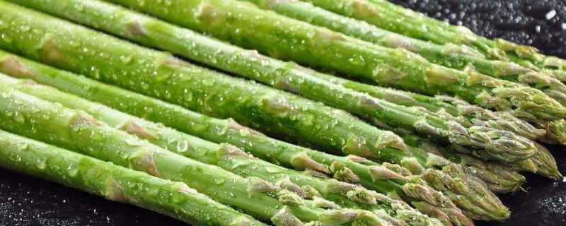 芦笋种子怎么催芽（芦笋种子怎么催芽最快）