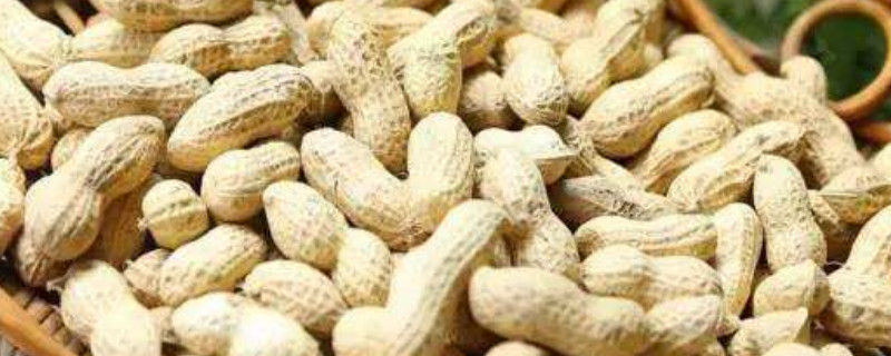 5月份种植什么农作物（五月种植的农作物）