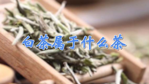 白茶属于什么茶 白茶属于什么茶凉性吗