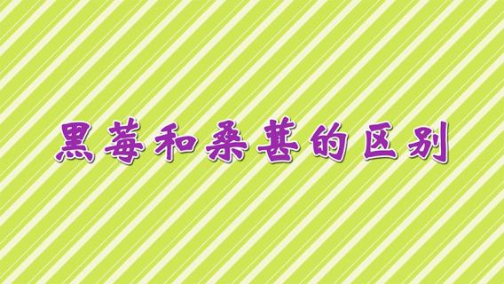 黑莓和桑葚的区别 黑莓和桑葚的区别外形