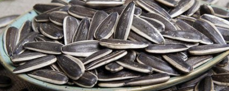 自己买的生瓜子可以种植吗（自己买的生瓜子可以种植吗怎么种）