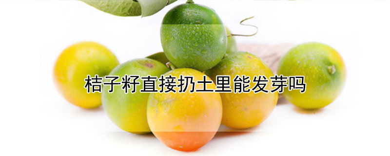 桔子籽直接扔土里能发芽吗 桔子籽怎么能发芽