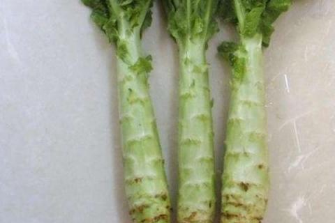 莴笋种植时间和方法