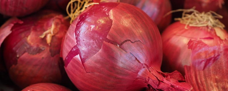 北方洋葱的种植方法和时间 北方洋葱的种植方法和时间视频
