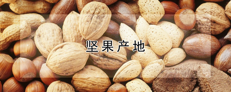 坚果产地（恰恰坚果产地）