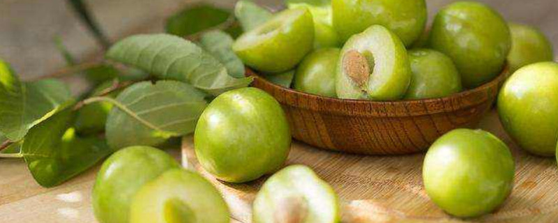 李子有哪些品种 李子有哪些品种?