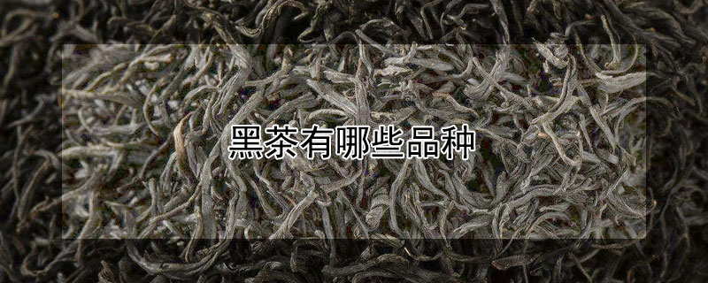 黑茶有哪些品种（黑茶有哪些品种 前十名）