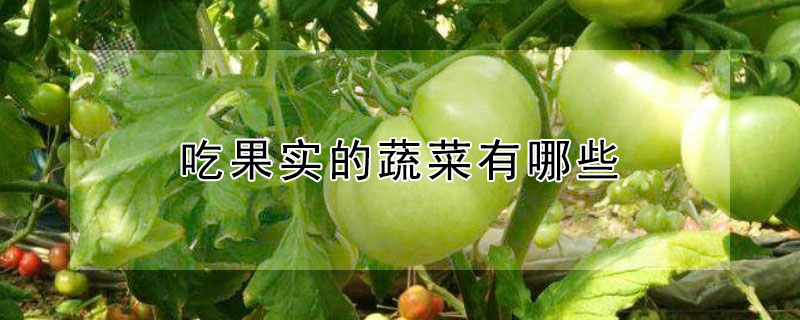 吃果实的蔬菜有哪些 吃果实的蔬菜有哪些图片
