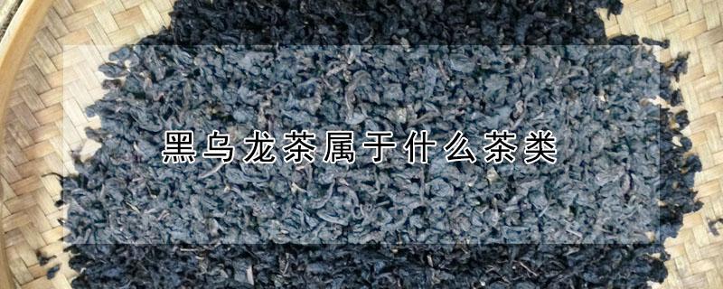 黑乌龙茶属于什么茶类 黑乌龙茶属于什么茶类别
