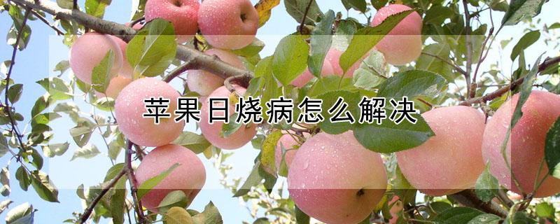 苹果日烧病怎么解决（苹果手机烧了怎么解救）