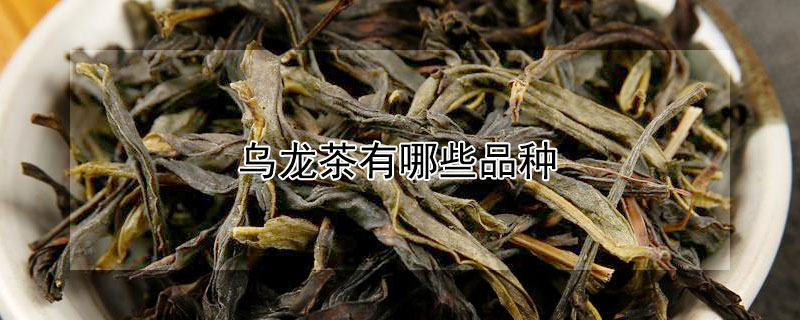 乌龙茶有哪些品种（绿茶有哪些品种）