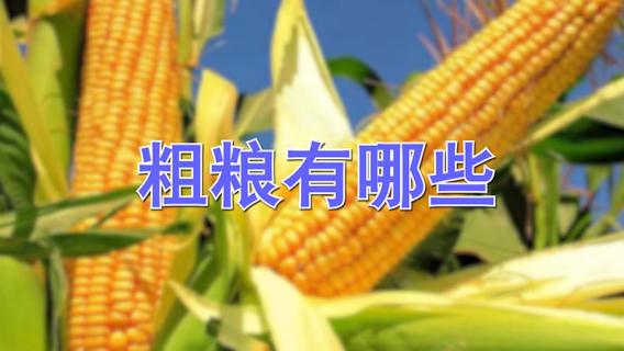 粗粮有哪些 粗粮有哪些可以降低血糖吗