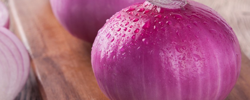 洋葱与圆葱的区别（洋葱与圆葱的区别是什么）