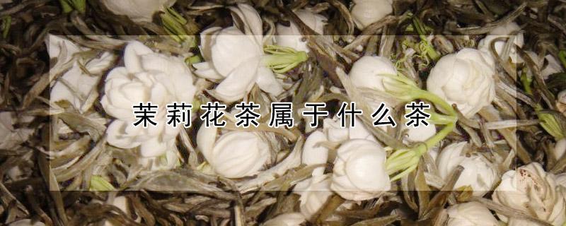 茉莉花茶属于什么茶 茉莉花茶属于什么茶种是红茶还是绿茶