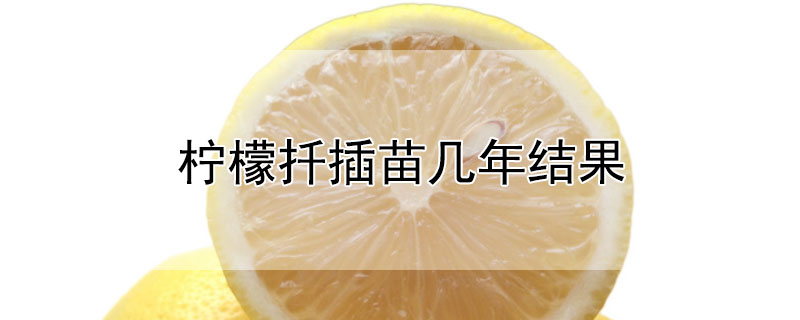 柠檬扦插苗几年结果 柠檬枝扦插成活后几年开花