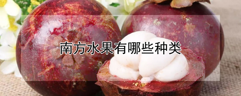 南方水果有哪些种类（南方水果有哪些种类佳佳）