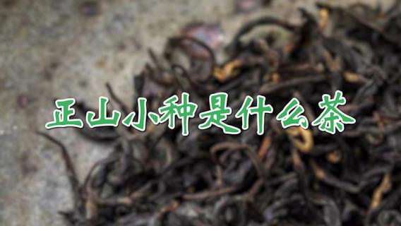 正山小种是什么茶 正山小种是什么茶类