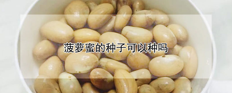 菠萝蜜的种子可以种吗 菠萝蜜的种子可以种吗视频